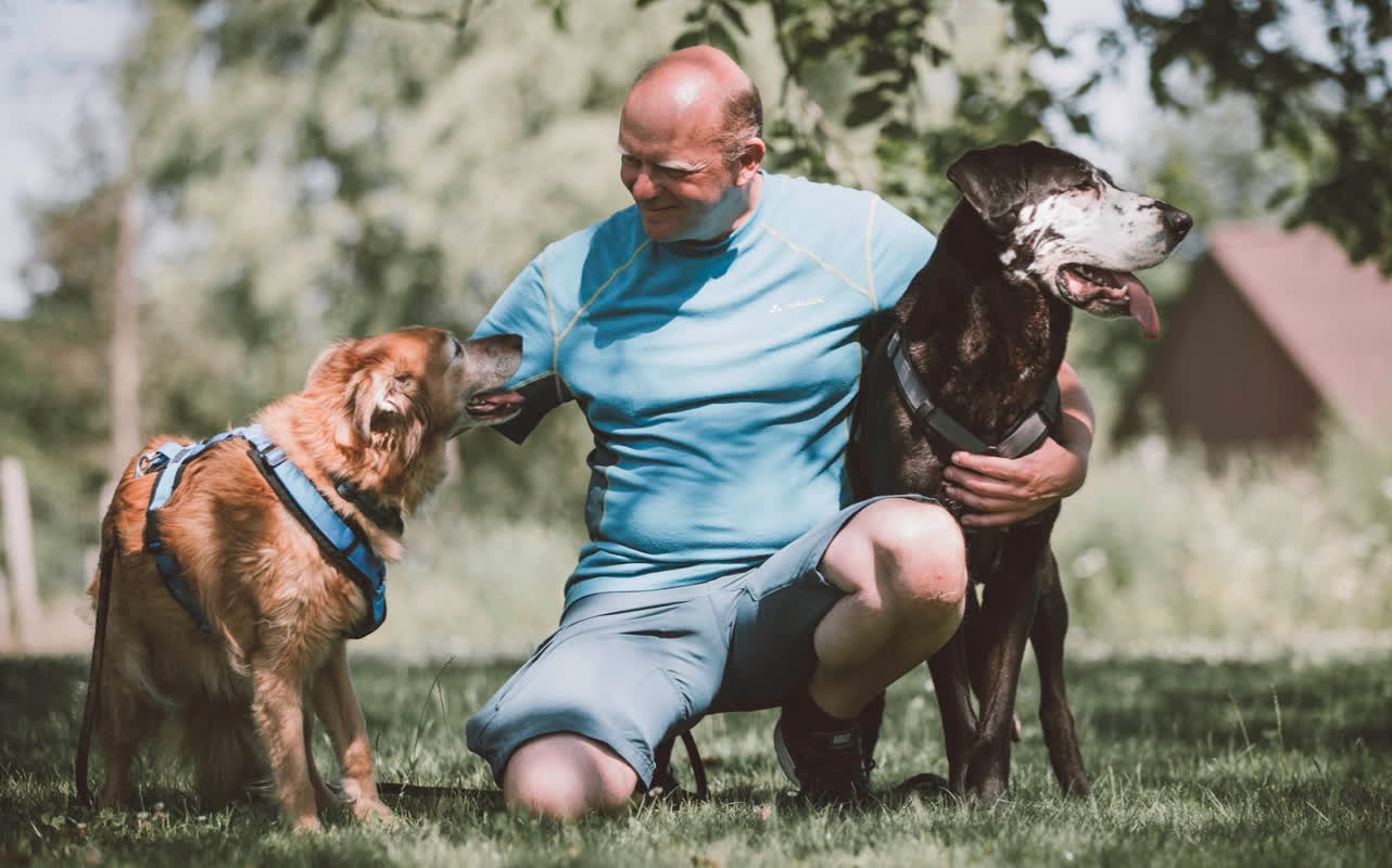 Image Working Together With Sentana Stiftung